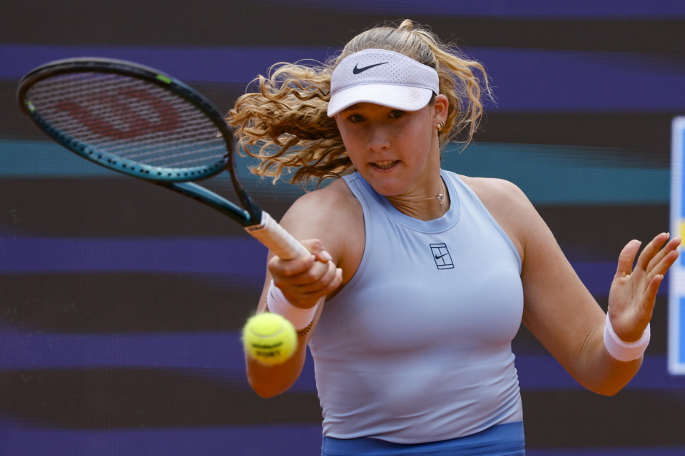 利用国际米 利用国际米