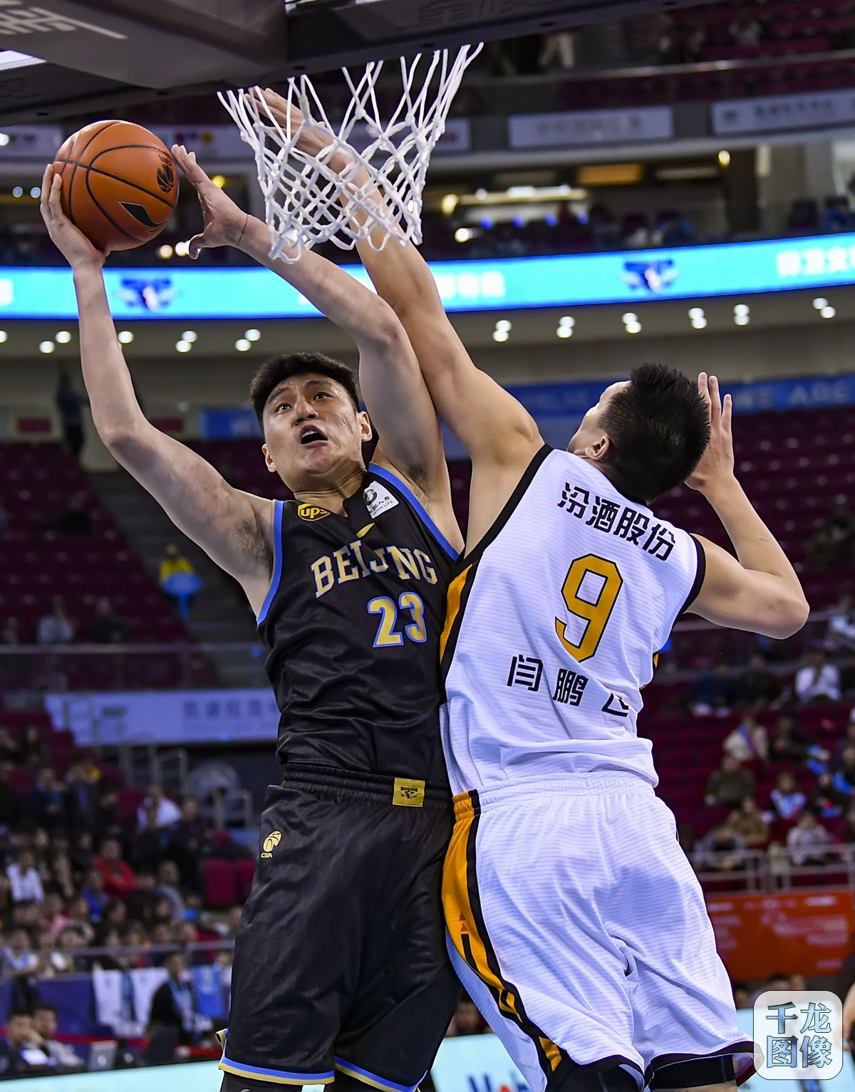 欧元固定金 欧元固定金